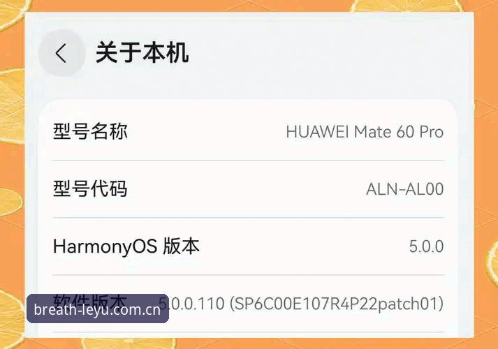 从升级踩坑到流畅体验：乐鱼体育平台资深用户的数据恢复心得与客户端实战拆解