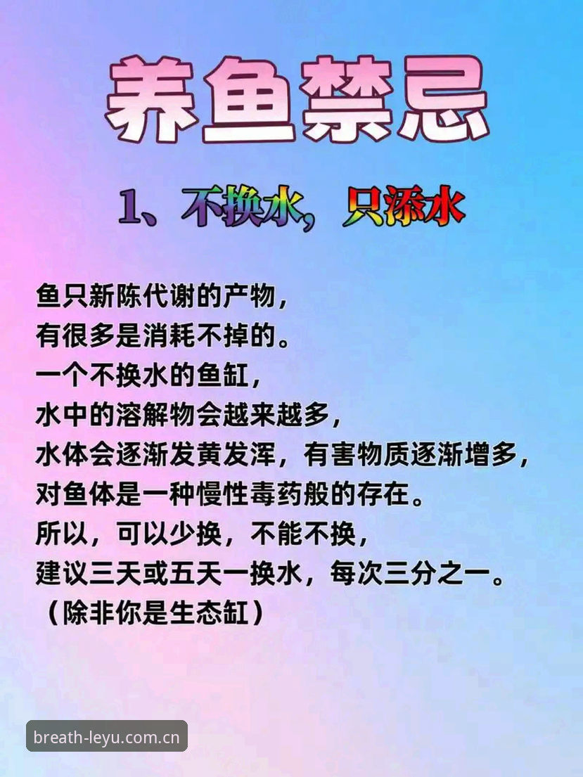 乐鱼客户端安全吗？一份老用户的实操避坑教程