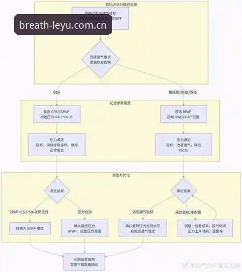 乐鱼最新版本对比 乐鱼版本更新对比教程:从Vital.Design到EPY2,呼吸感界面操作详解